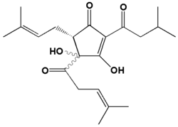 Structure de base de l'Isohumulone